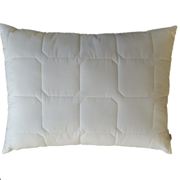 Pflegeleichtes gestepptes Kopfkissen 60x80cm mit 850g PES-Füllung und 100% Baumwollbezug, 95°C waschbar und trocknergeeignet. Verpackungseinheit: 12 Stück.